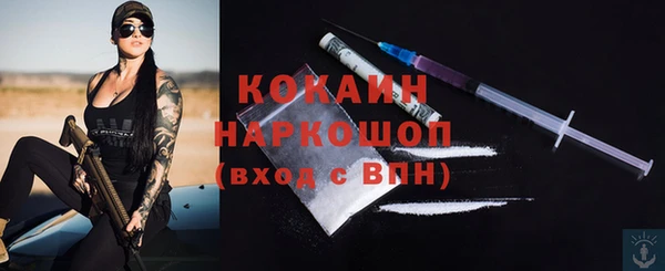 дживик Абинск