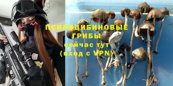 круглые Алексеевка